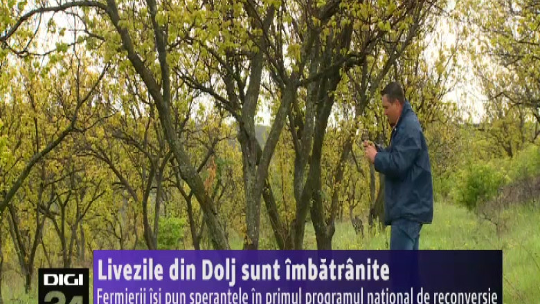 Livezile din Dolj sunt imbatranite. Fermierii isi pun sperantele in primul program national de reconversie Imagine