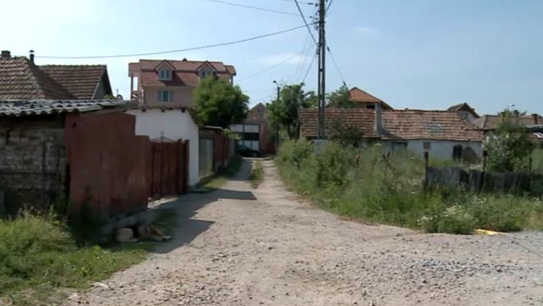 Locuitorii unei strazi din Oradea traiesc ca la tara Imagine