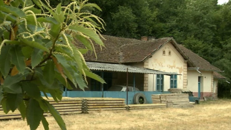 Locurile disponibile in taberele de vara pentru elevi au scazut considerabil Imagine