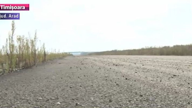 Lotul II al autostrazii Nadlac - Arad are, din nou, constructor. Termenul de executie este de opt luni Imagine