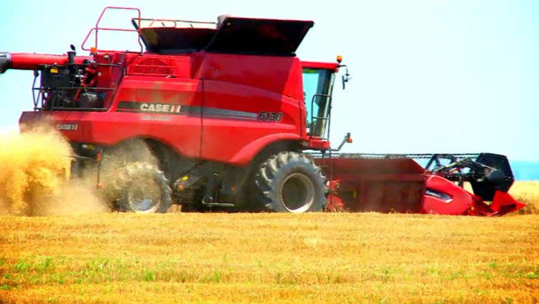 Lumea ar putea sa nu aiba suficienta hrana din 2030 Imagine