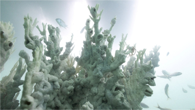 Lumea se confrunta cu „o noua realitate”: Pamantul a atins primul prag climatic ce ar putea produce pagube catastrofale Imagine