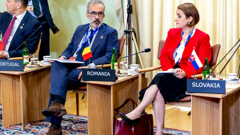 Luminita Odobescu: Rusia si-a intensificat actiunile hibride asupra membrilor NATO Imagine