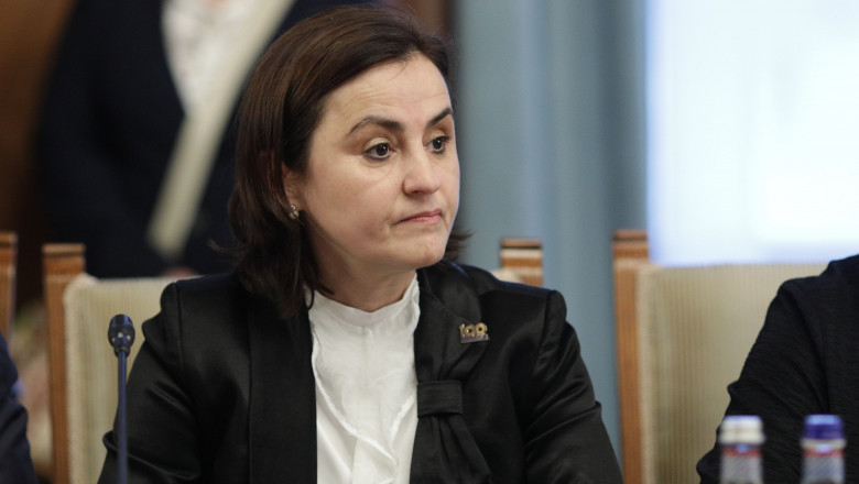 Luminita Odobescu: Spatiul Schengen va fi mai puternic atunci cand Romania va fi membru cu drepturi depline Imagine