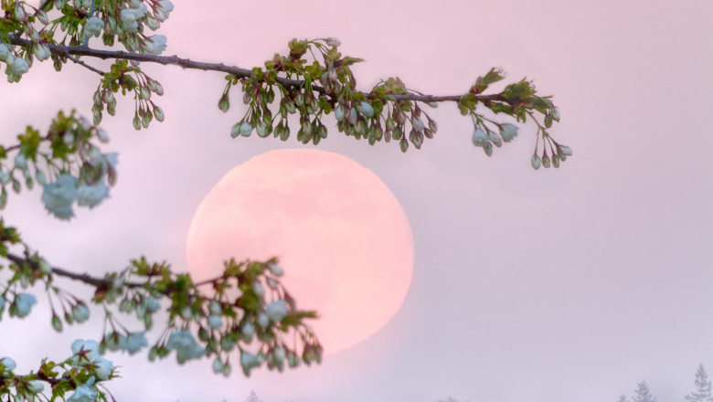 „Luna Florilor”: Un fenomen astronomic spectaculos va avea loc in aceasta saptamana Imagine
