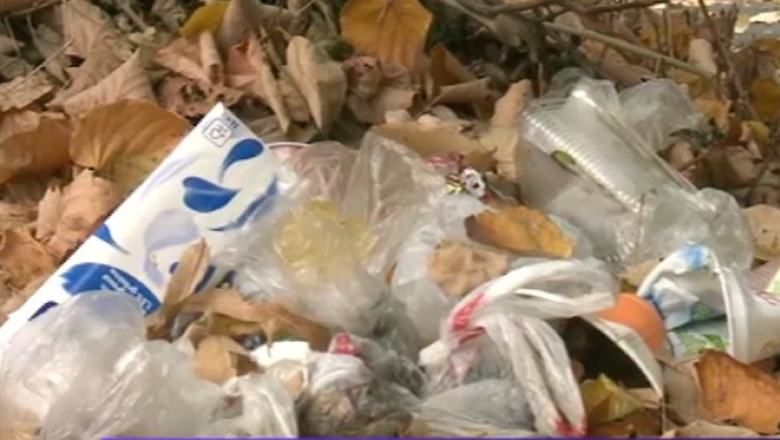 Lupta pentru gunoi. Cautatorii de pet-uri rascolesc tomberoanele inainte sa vina gunoierii Imagine