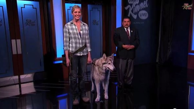 Lupul de la Soci, farsa a prezentatorului Jimmy Kimmel pusa la cale impreuna cu sportiva Kate Hansen Imagine