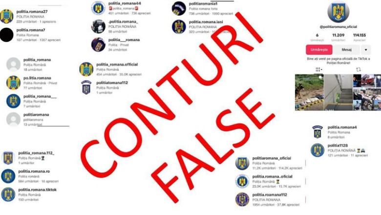MAI a eliminat peste 160 de conturi TikTok care utilizau ilegal insemnele Politiei Romane Imagine