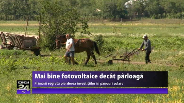 Mai bine fotovoltaice decat parloaga: Edilii localitatilor cu potential agricol regreta pierderea investitiilor in panouri solare Imagine