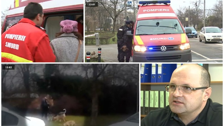 Maidanezii fac noi victime in Timisoara. Doua cazuri intr-o jumatate de ora Imagine