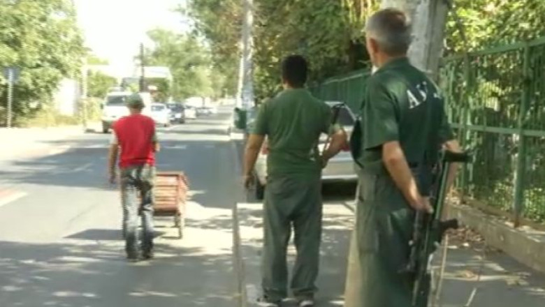 Maidanezii, o afacere profitabila. Trei firme si-au transformat peste noapte angajatii in hingheri Imagine