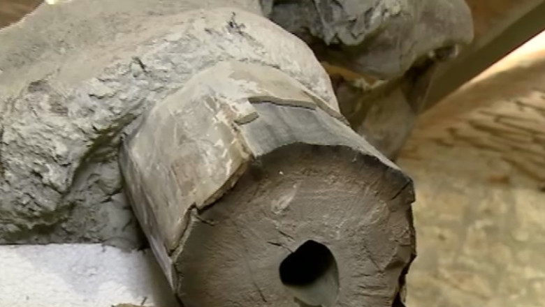 Mamut descoperit in Covasna, vandut bucata cu bucata Imagine