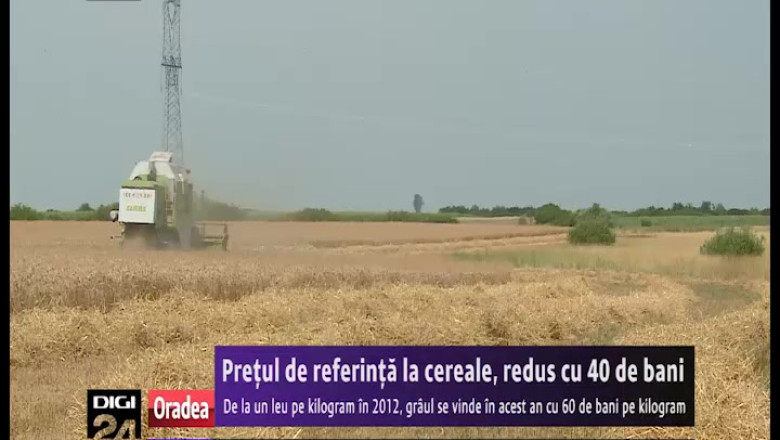 Mana de ajutor intinsa agricultorilor: Consiliul Judetean Bihor a redus cu 40 de bani pretul de referinta la cereale Imagine