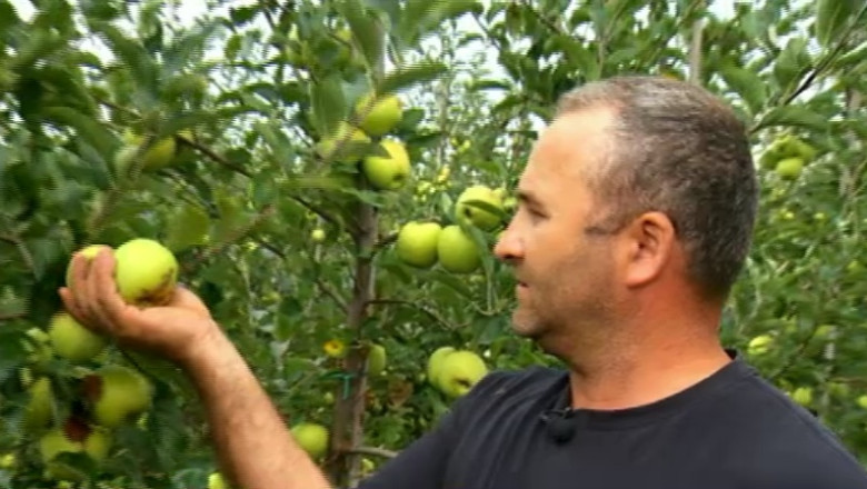 Mancam romaneste doar cateva luni pe an. Romania exporta alimente, apoi importa la preturi mult mai mari Imagine