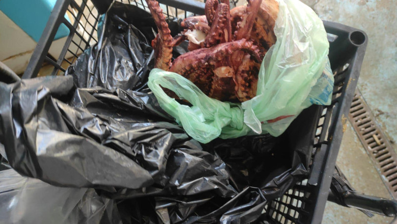 Mancare expirata, un congelator cu insecte moarte si "pesti fara acte". Imagini cu dezastrul dintr-un restaurant din Costinesti Imagine