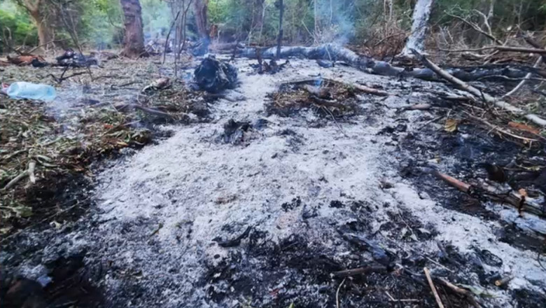 MApN are informatii despre noi locuri unde ar fi putut cadea drone rusesti. Ce zone nu s-au confirmat Imagine