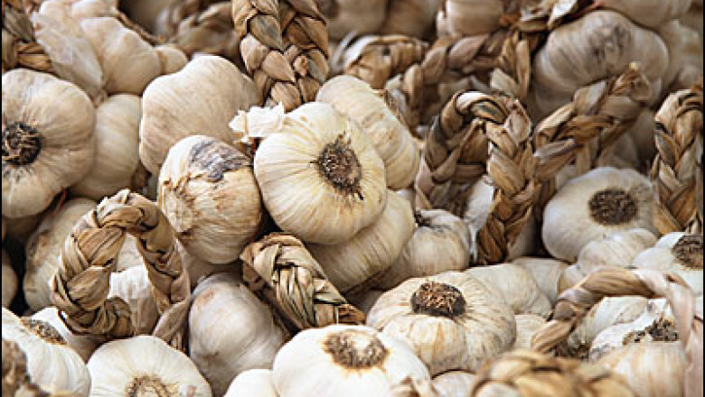 Marca inregistrata. Usturoiul de Falcoiu va fi inregistrat la OSIM Imagine