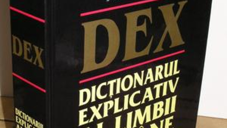 „Mardeias”. Vorbe din argou in declaratii publice Imagine