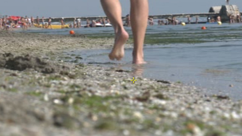 Marea Neagra arata ca o salata uriasa! Algele au pus stapanire pe statiunea Mamaia Imagine