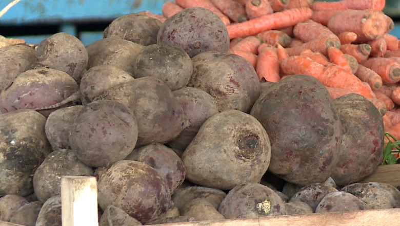 Marfa din piete este bocna. Comerciantii au aruncat sute de kilograme de legume si fructe inghetate Imagine