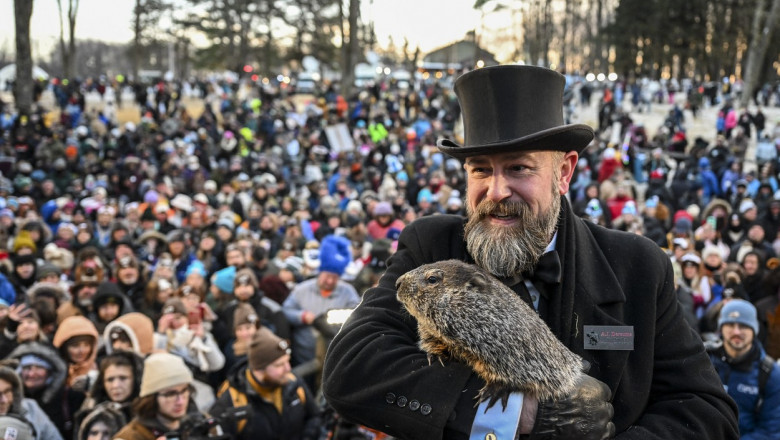 Marmota Phil nu si-a vazut umbra. Ce spune legenda Imagine