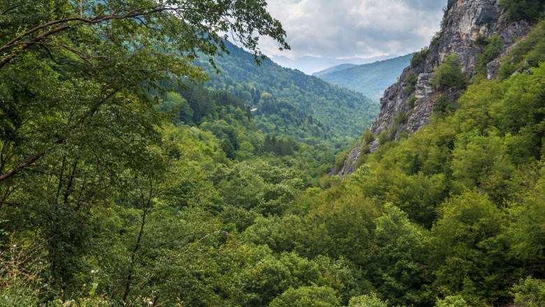 Masura inedita prin care Macedonia de Nord vrea sa previna incendiile de padure in munti Imagine