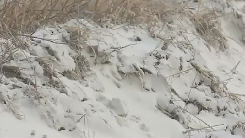 Masuri contra poluarii din Moldova Noua Imagine