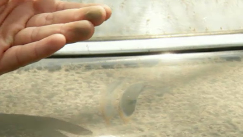 Masuri impotriva poluarii, doar pe hartie. In Bucuresti sunt 400 de tone de praf pe kilometru patrat Imagine