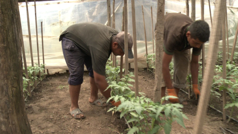 Matcasii, foc si para pe Legea Zilierilor. Cei care nu respecta legea risca amenzi de pana la 10.000 de lei Imagine