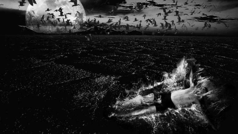 Medic veterinar, fotograf premiant. Cornel Gingarasu a castigat bronzul la un concurs international de fotografie Imagine