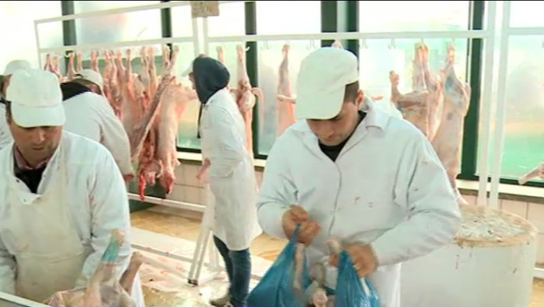 Medici: Mieii sub opt kilograme nu sunt buni de consum Imagine