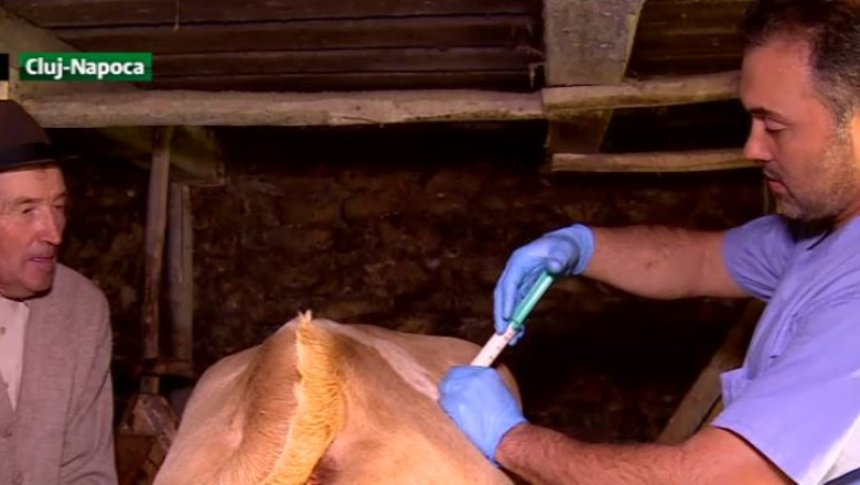 Medici veterinari neplatiti Imagine