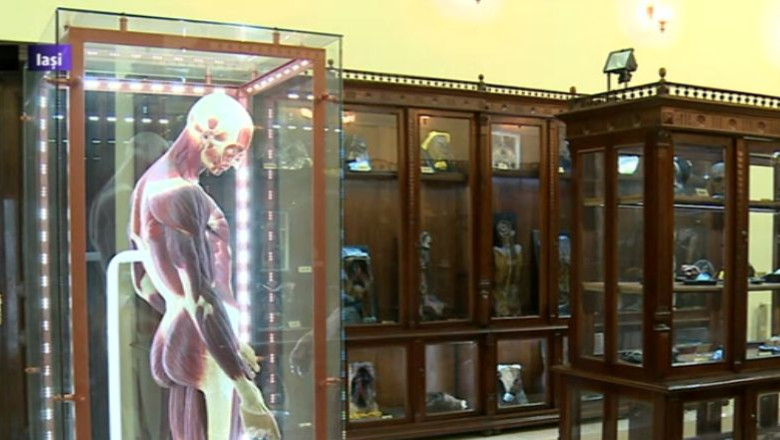 Medicina fara practica. Studentii de la UMF Iasi aprofundeaza anatomia la muzeu Imagine