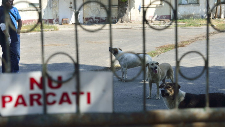 Membri ai Asociatiei Caleidoscop au fost audiati la Parchetul instantei supreme Imagine