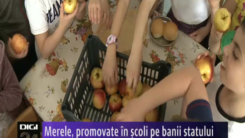 Merele, promovate in scoli pe banii statului Imagine