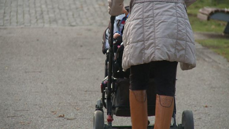 Meseria de bona, recunoscuta oficial Imagine