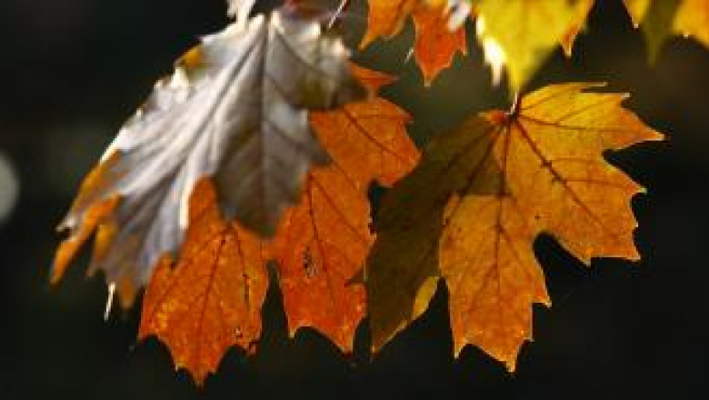 METEO. Final de weekend cu 21 de grade Imagine