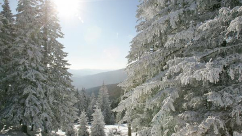 METEO. Iarna mai asteapta. Vremea va fi deosebit de calda in zona de munte Imagine