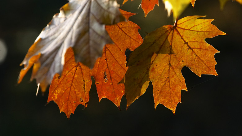 METEO. Temperaturi de peste 20 de grade joi si vineri Imagine