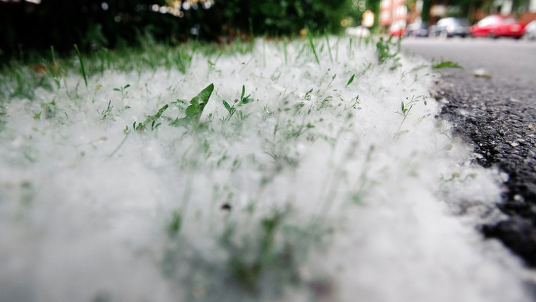 METEO. Ultimele zile cu vreme calda, luni incep ninsorile Imagine