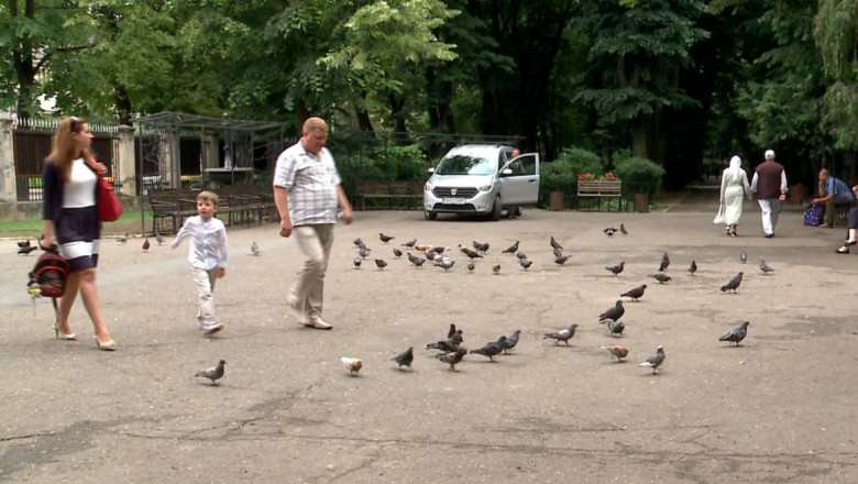 METEO. Vreme calda in weekend in Moldova Imagine