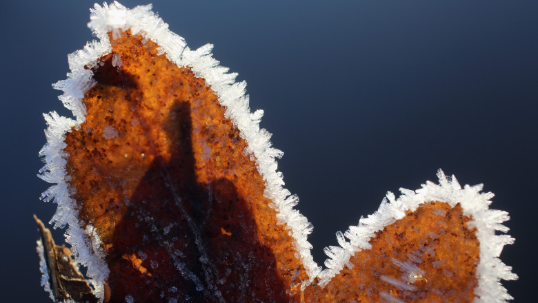 METEO. Vreme placuta cu maxime de 19 grade in urmatoarele patru zile Imagine
