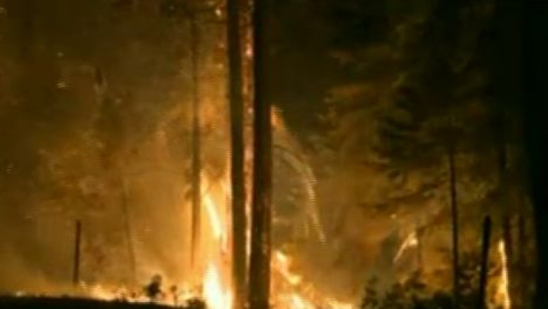 METEOPEDIA. Dezastre provocate de vreme: incendiul din Edo Imagine