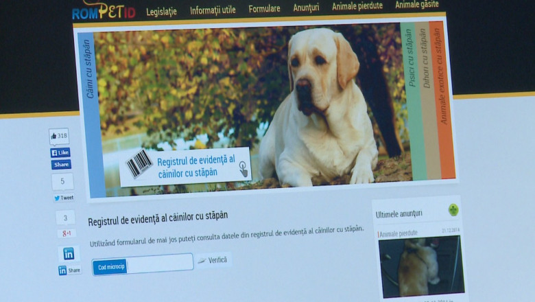 Microciparea cainilor, fara succes. Proprietarii de patrupede considera dispozitivul mult prea scump Imagine