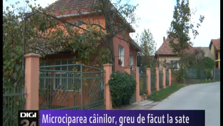 Microciparea cainilor, greu de facut Imagine