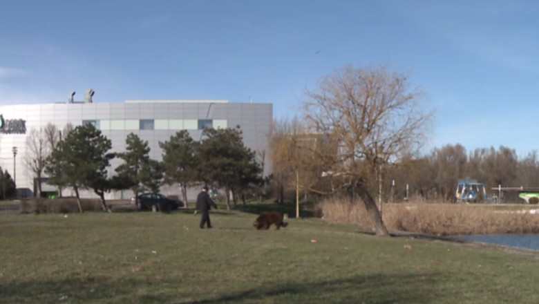 Microciparea cainilor, obligatorie de la 1 martie. Cei care refuza sa implanteze cip-uri cainilor pot plati amenzi de pana la 2.000 de lei Imagine