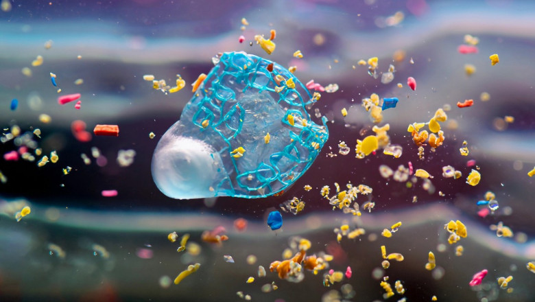Microplasticele impiedica fotosinteza plantelor, potrivit unui nou studiu. Milioane de oameni, in pericol de foamete Imagine