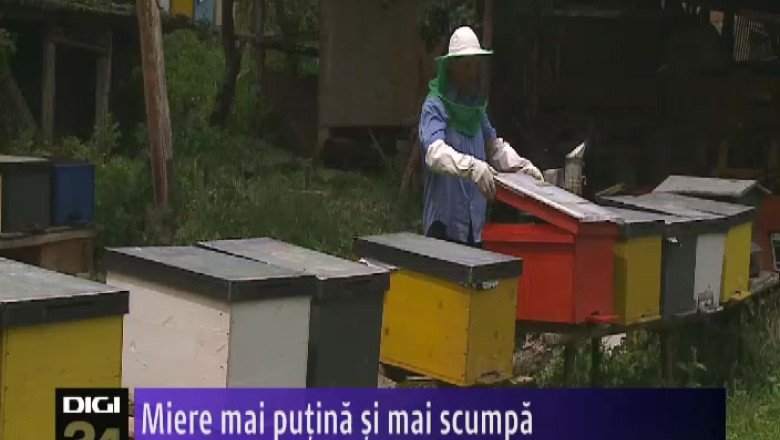 Miere mai putina si mai scumpa Imagine