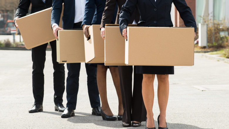 Mii de firme si PFA au intrat in insolventa in primele 7 luni din 2022 Imagine