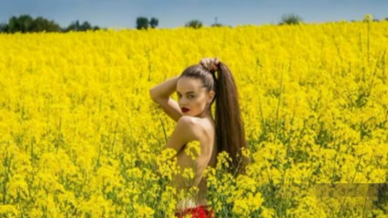 Mii de fotografii in lanurile de rapita au invadat site-urile de socializare Imagine